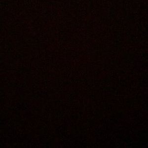 Meet your Posher, Travis